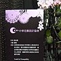 爭艷館 花藝競賽7.JPG