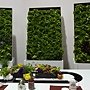 爭艷館 植物夢工廠48.JPG