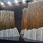 爭艷館 林惠里18.JPG