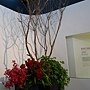 7星苑(19).JPG