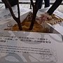 文化館花夢36.JPG