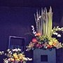 爭艷館 植物夢工廠20.JPG
