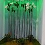 爭艷館 植物夢工廠35.JPG