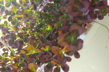 P1100899.JPG