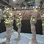 爭艷館 花藝競賽15.JPG