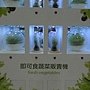 爭艷館 植物夢工廠61.JPG