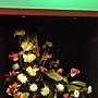 爭艷館 植物夢工廠19.JPG