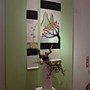 文化館花夢62.JPG