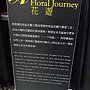 爭艷館 林惠里3.JPG