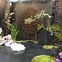 爭艷館 花藝競賽35.JPG