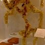 爭艷館 花藝競賽47.JPG