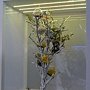 爭艷館 植物夢工廠31.JPG