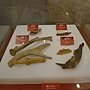 文化館 古今在現12.JPG