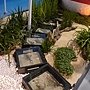 爭艷館 植物夢工廠54.JPG