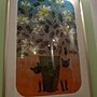 文化館花夢57.JPG