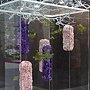 爭艷館 花藝競賽5.JPG