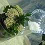 爭艷館 植物夢工廠59.JPG