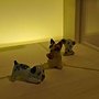 7星苑(10).JPG