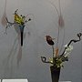 爭艷館 花藝競賽18.JPG