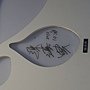 7星苑(21)名人簽名.JPG