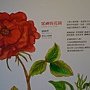 7星苑(20)彩繪壁畫.JPG