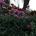 flower15.JPG