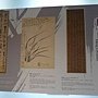文化館花夢6.JPG