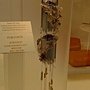 爭艷館 花藝競賽50.JPG