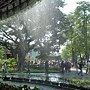 流行館13.JPG
