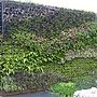 西安庭園2(6).JPG