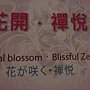 文化館花夢28.JPG