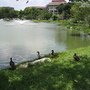 IMG_8178.JPG