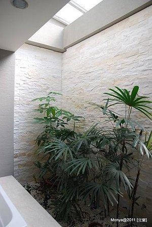 DSC_3233.JPG