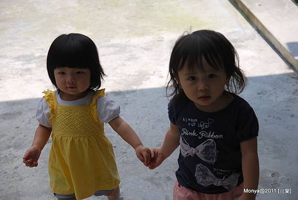 DSC_3305.JPG