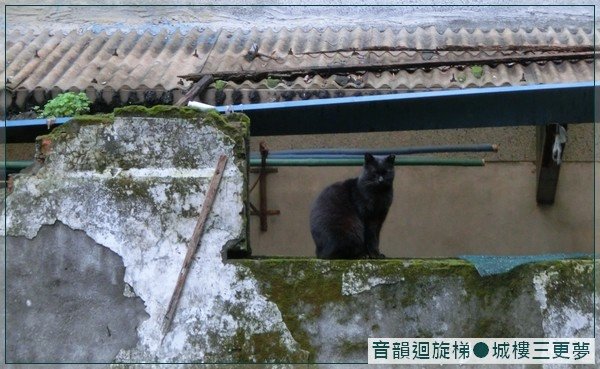 紀州庵文學森林