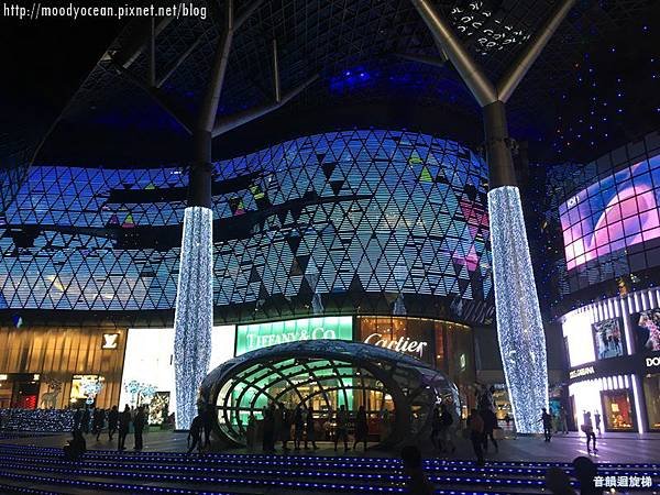 IMG_7972Ion Orchard
