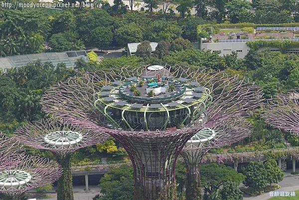 P1020950金沙空中俯瞰天空樹