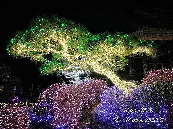 京畿道晨靜樹木園五色星光庭園展20199.jpg
