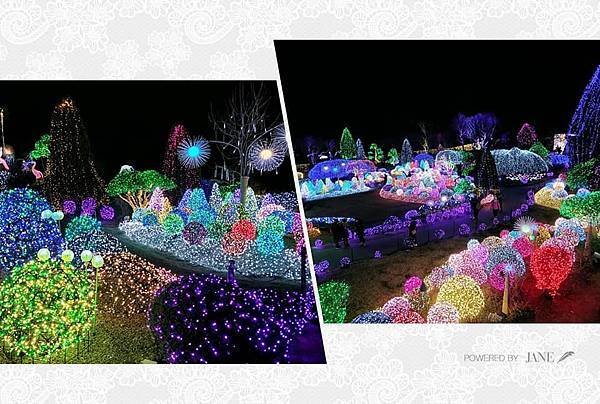 京畿道晨靜樹木園五色星光庭園展201923.jpg