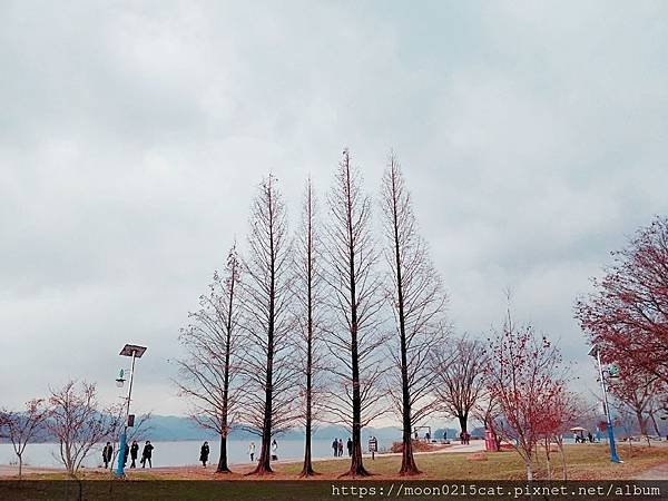 韓國 京畿道 陽平 兩水頭 京義中央線 景點 韓劇拍攝景點 她很漂亮 內在美 兩水站 冬季兩_14.jpg