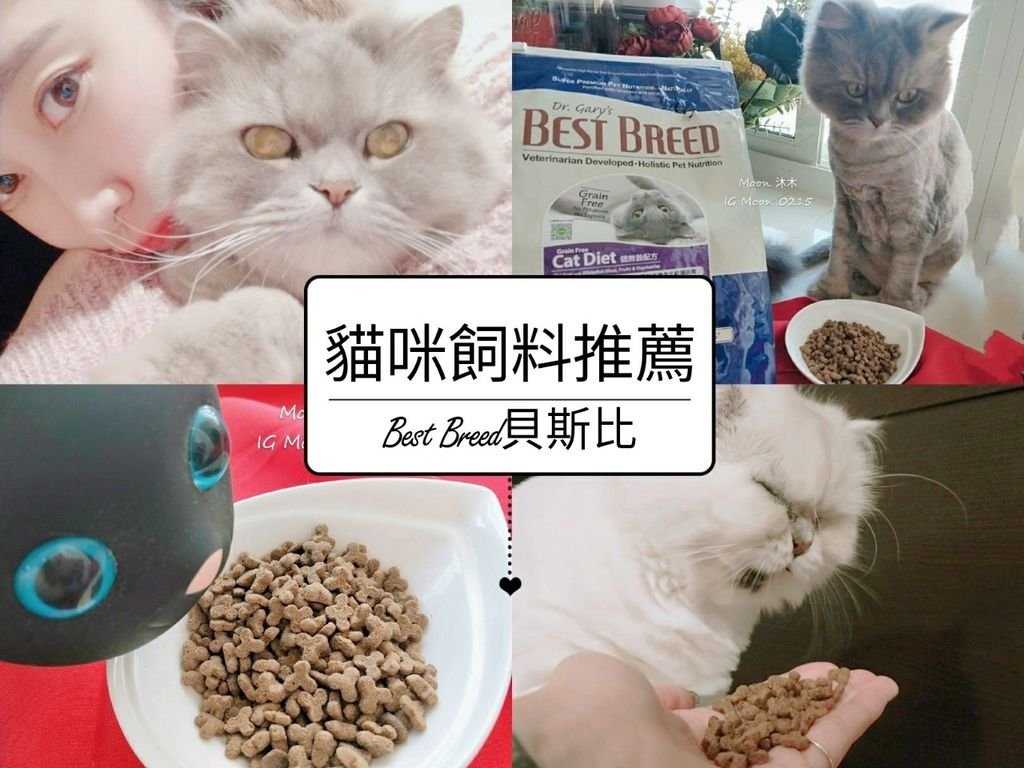 2020貓咪飼料推薦 無穀飼料推薦 貝斯比無穀貓 非基因飼料推薦 那個牌子貓飼料好 貓飼料_23.jpg