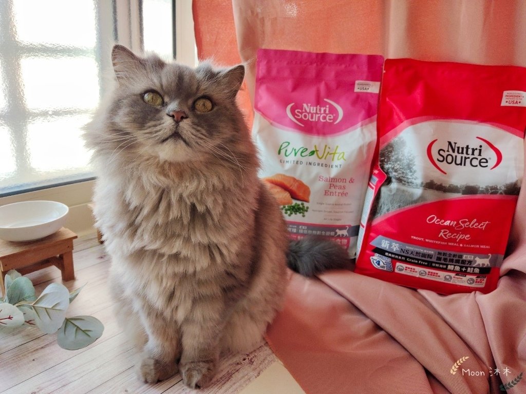 貓咪飼料推薦2021 NutriSource新萃 天然寵糧 無榖貓飼料 貓飼料怎麼選_201129_43.jpg