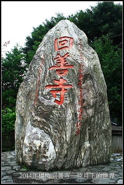 2014年楊梅回善寺賞櫻_28