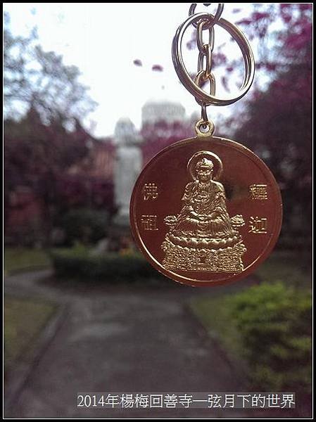 2014年楊梅回善寺賞櫻_32