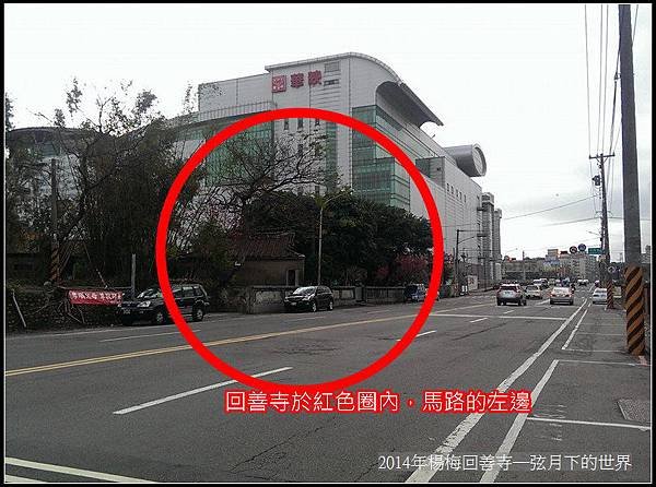 2014年楊梅回善寺賞櫻_33