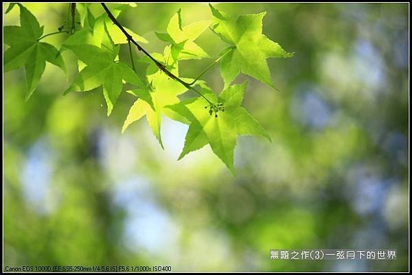 無題之作(3)_08