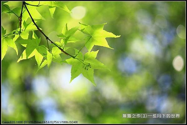 無題之作(3)_09