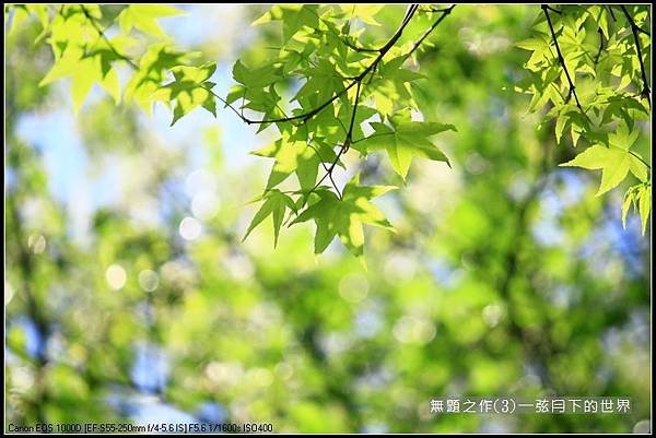 無題之作(3)_10