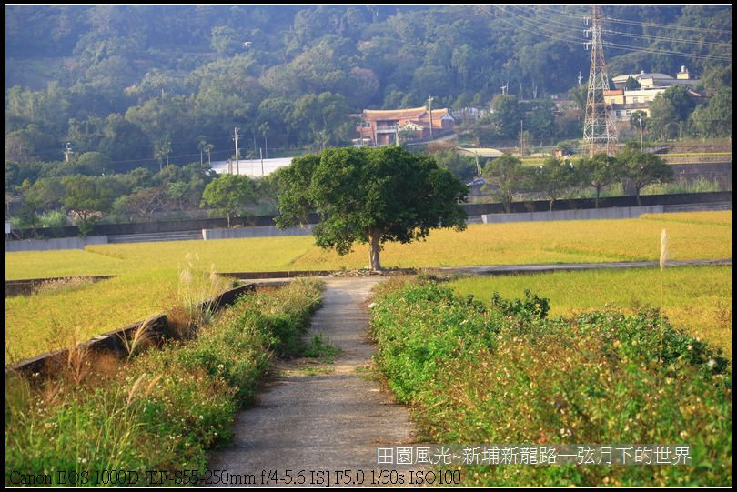 田園風光~新埔龍新路_07.jpg