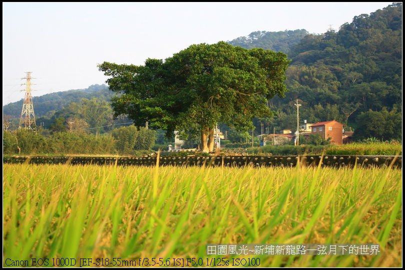 田園風光~新埔龍新路_20.jpg